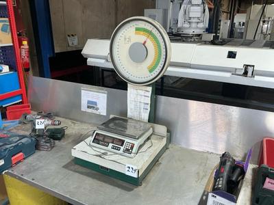 Overview picture of scale (2x)